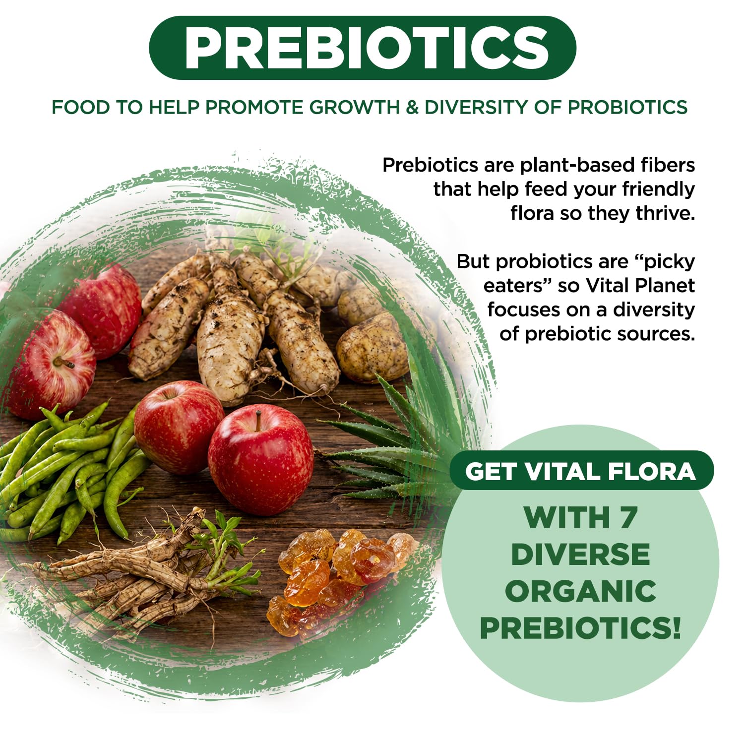 Vital Planet Adult 55+ Daily Probiotic capsules on a wooden table