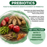 Vital Planet Adult 55+ Daily Probiotic capsules on a wooden table
