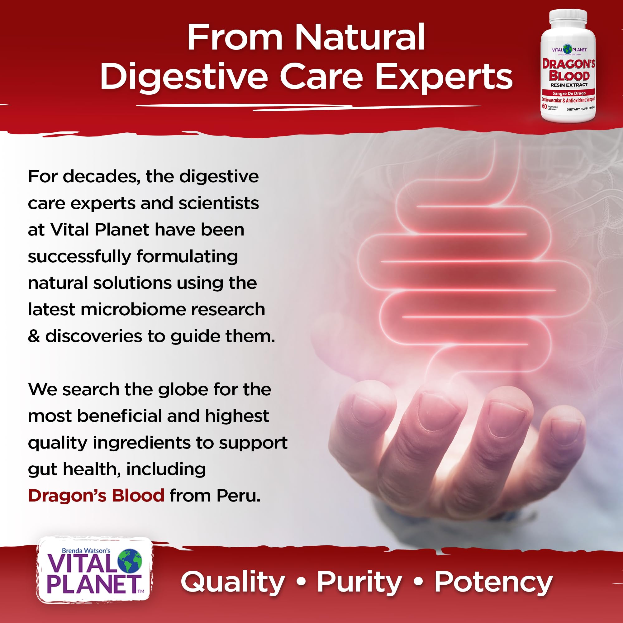 Vital Planet Dragon’s Blood 500mg capsules back view
