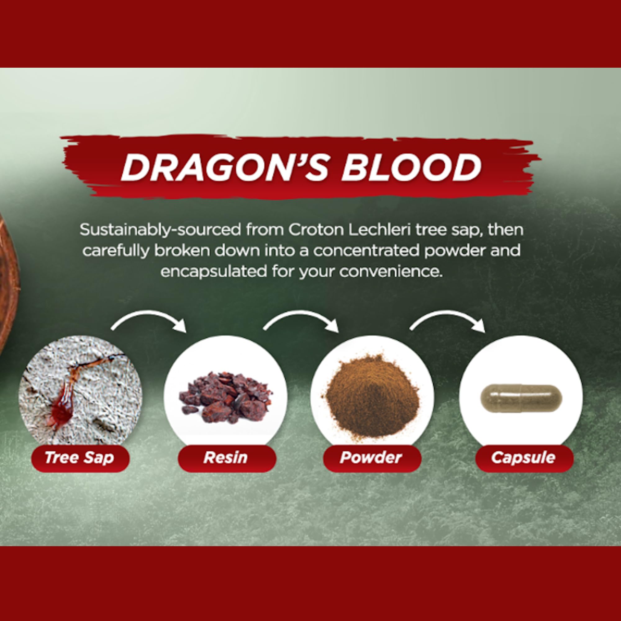 Vital Planet Dragon’s Blood 500mg capsules with natural background