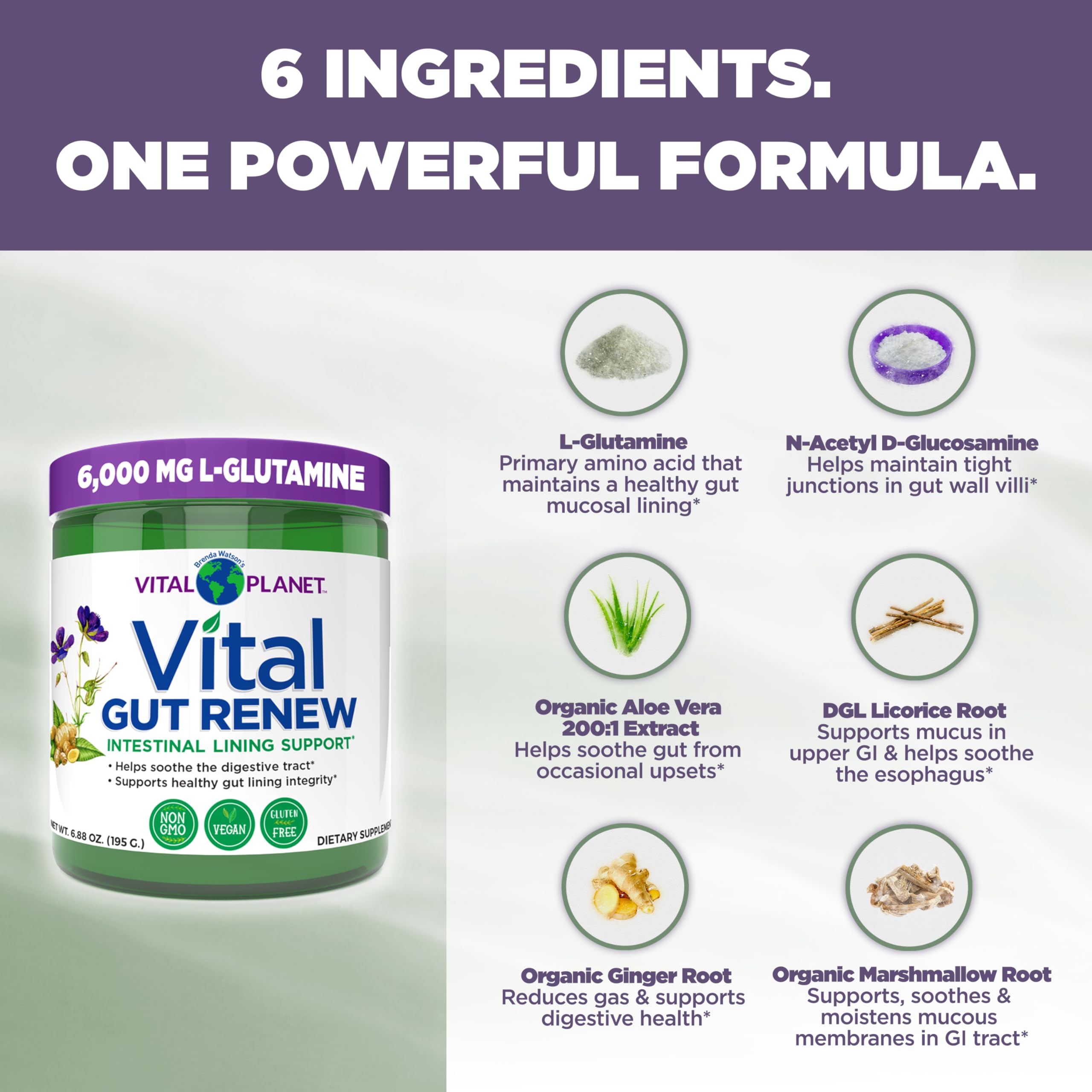 Vital Planet Gut Renew L-Glutamine Powder 195g serving suggestion