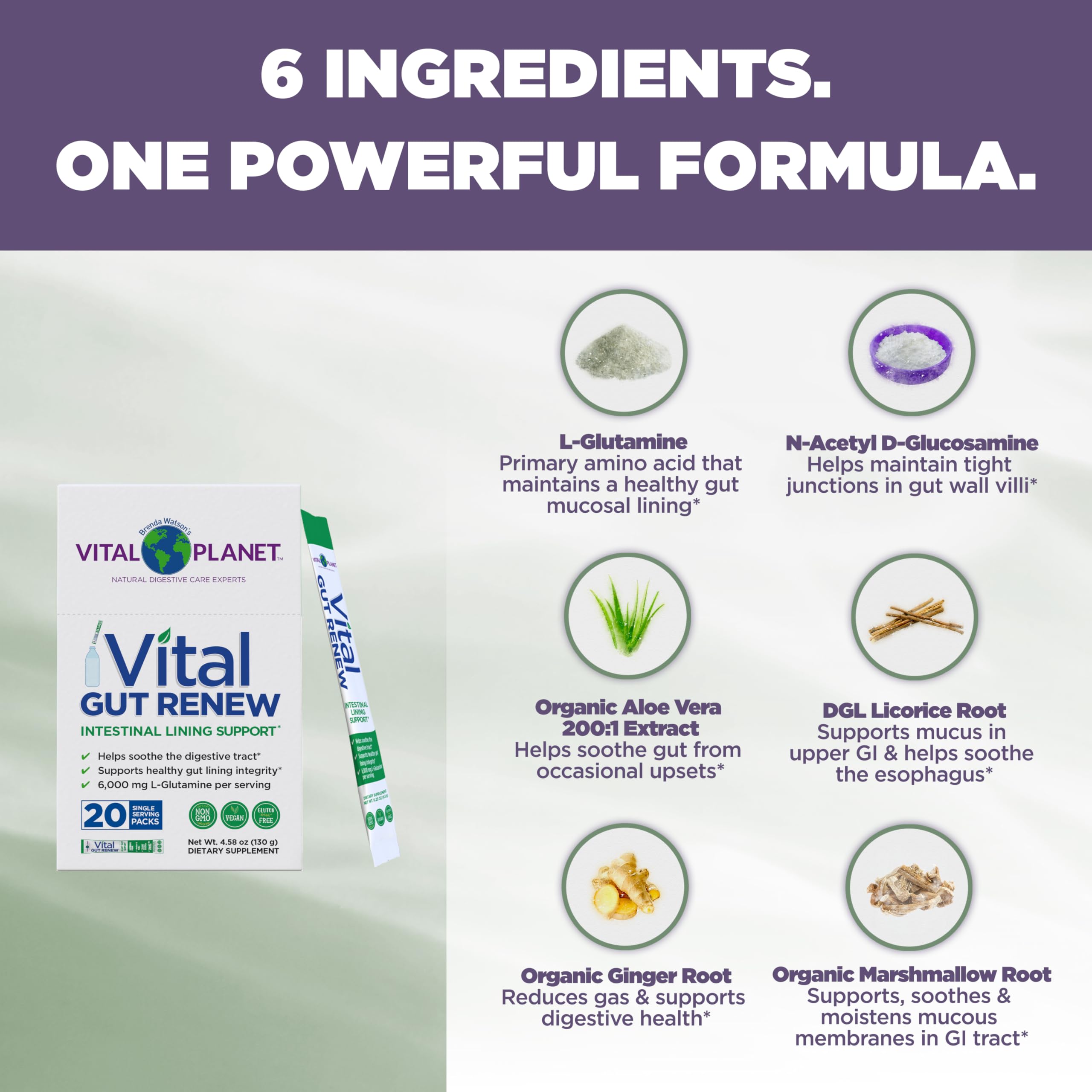 Vital Planet Gut Renew L-Glutamine Powder mixed in water