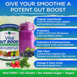 Vital Planet Gut support 299g mixed in smoothie