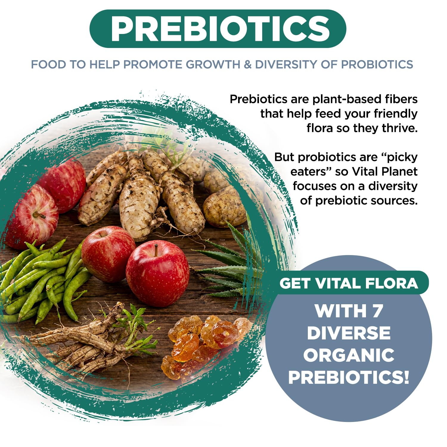 Vital Planet Men’s Daily Probiotic 60 Billion CFU ingredients list