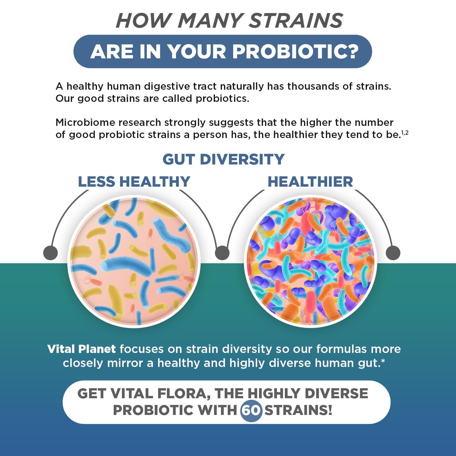 Vital Planet Men’s Daily Probiotic 60 Billion CFU lifestyle scene