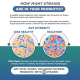 Vital Planet Men’s Daily Probiotic 60 Billion CFU lifestyle scene