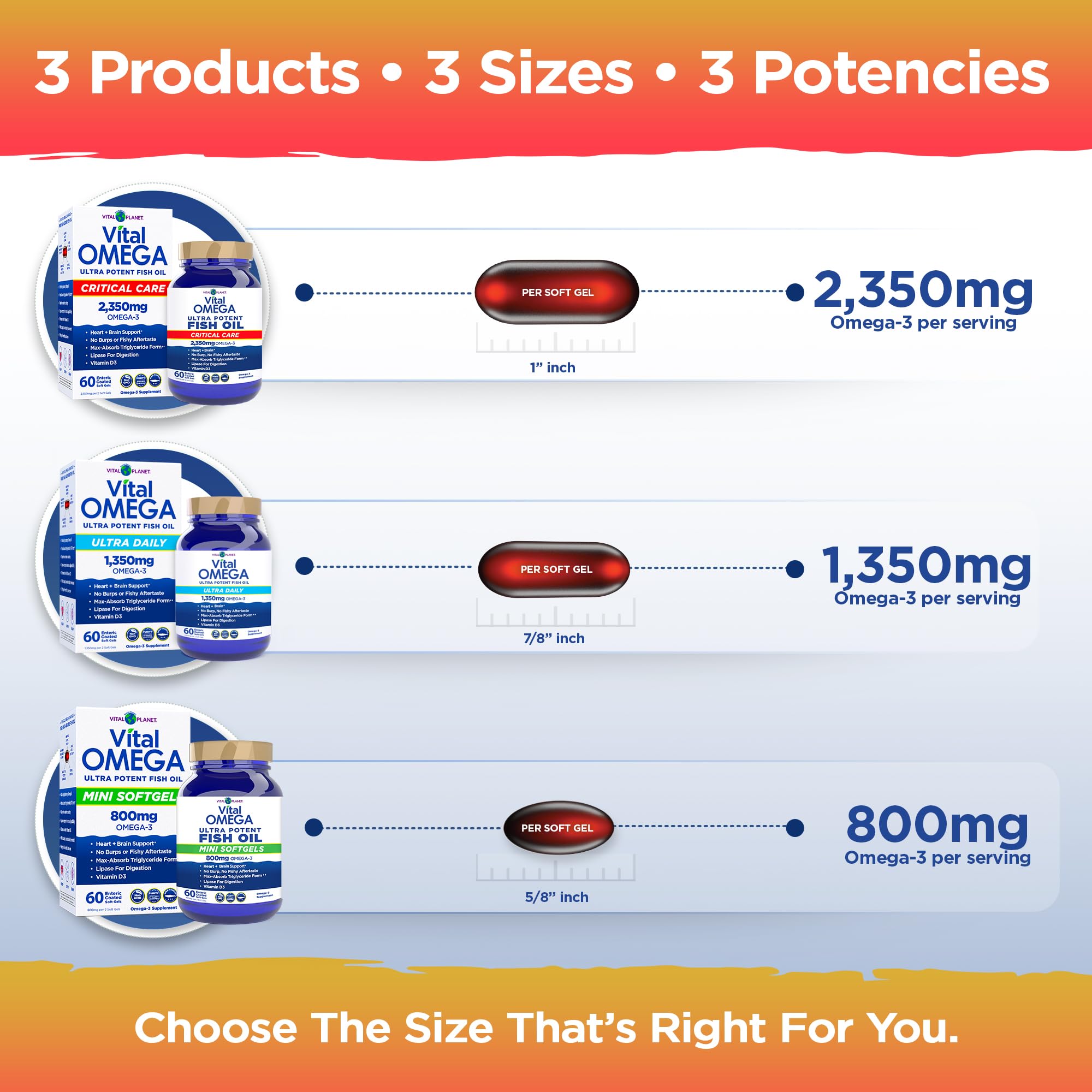 Vital Planet Omega-3 Fish Oil Supplement 2350mg lifestyle scene