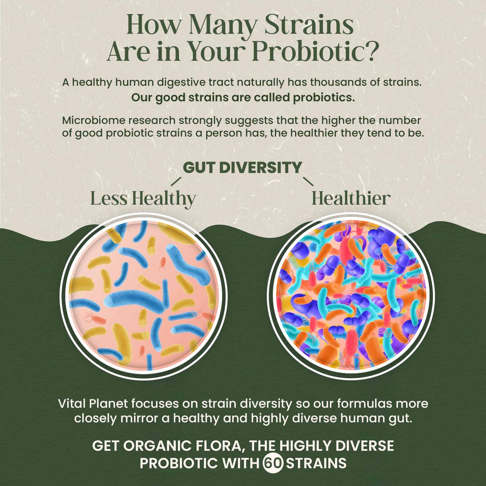 Vital Planet Probiotic Capsules 30 Billion CFU with organic ingredients