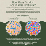 Vital Planet Probiotic Capsules 30 Billion CFU with organic ingredients