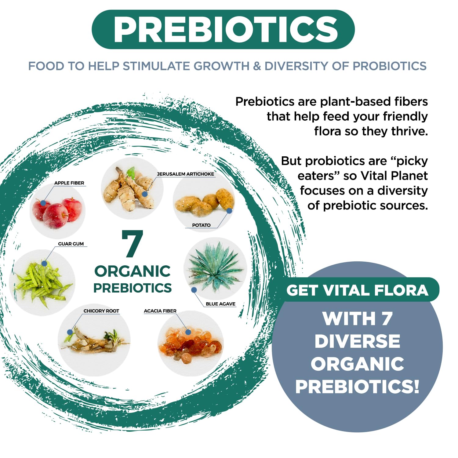 Vital Planet Ultra Daily Probiotic 60 Billion CFU ingredients list