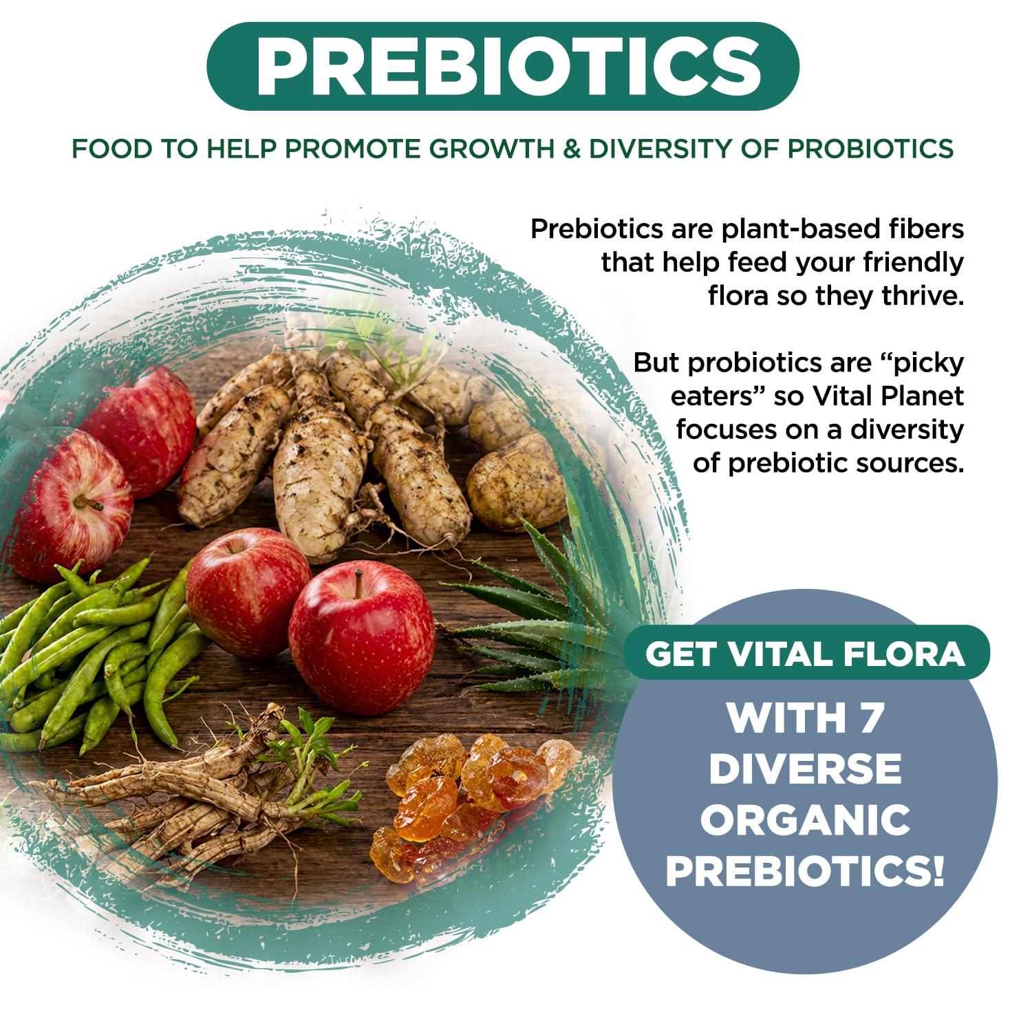 Vital Planet Vital Flora Men 55+ Daily Probiotic ingredients list