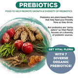 Vital Planet Vital Flora Men 55+ Daily Probiotic ingredients list