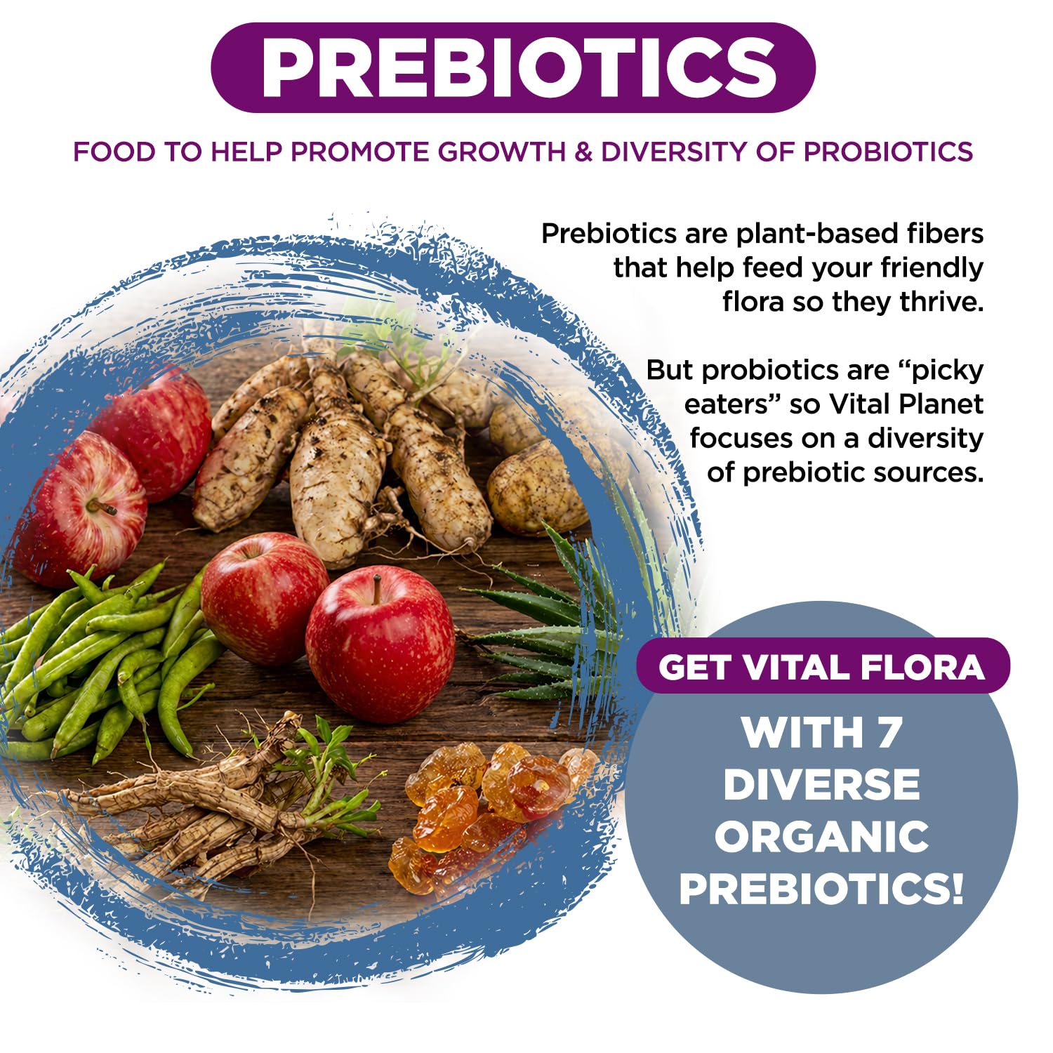 Vital Planet Women 55+ Daily Probiotic capsule on a wooden table