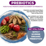 Vital Planet Women 55+ Daily Probiotic ingredients list