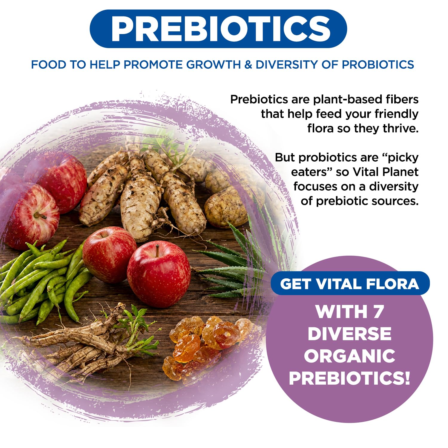 Vital Planet Women's Daily Probiotic 100g ingredients list