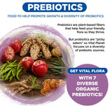 Vital Planet Women’s Daily Probiotic capsules in hand