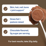 Vital Proteins Chocolate Collagen Peptides ingredients list