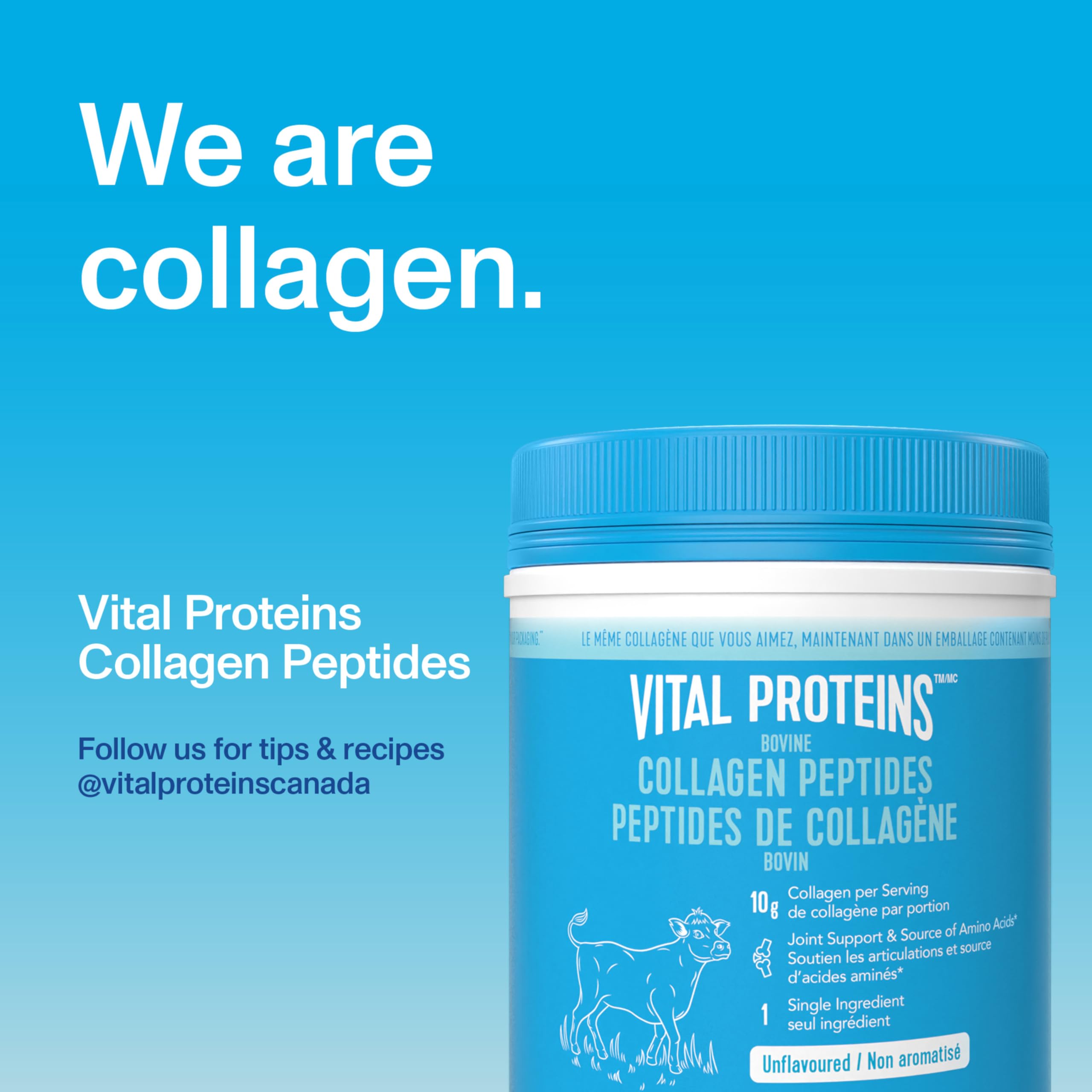 Vital Proteins Unflavoured Collagen Peptides mixed in a smoothie