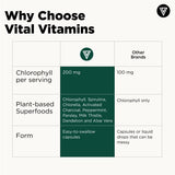 Vital Vitamins Chlorophyll Capsules opened bottle