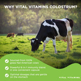 Vital Vitamins Colostrum Capsules open bottle with capsules