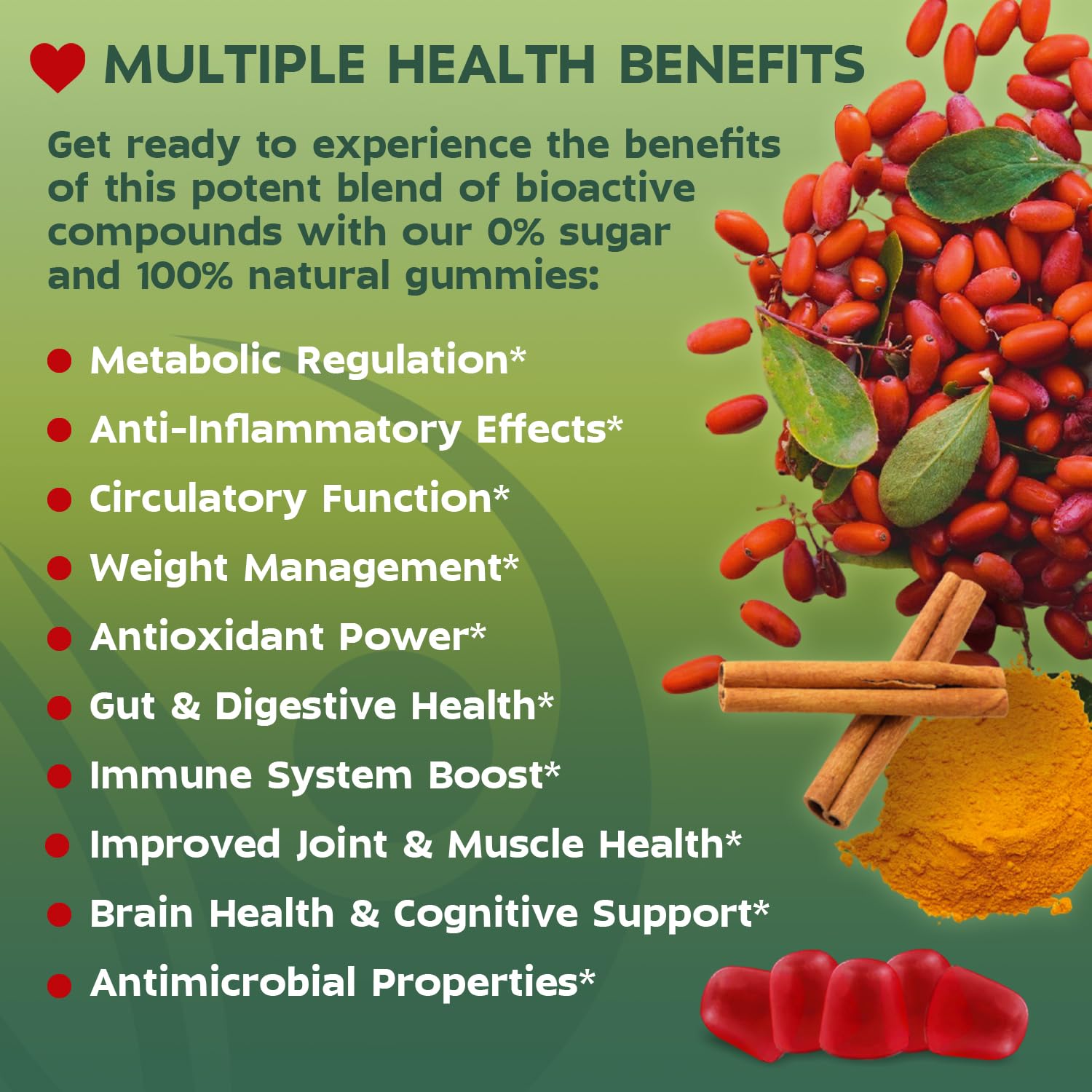 Vitale Style Cinnamon Supplement back view showing ingredients
