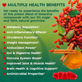 Vitale Style Cinnamon Supplement back view showing ingredients