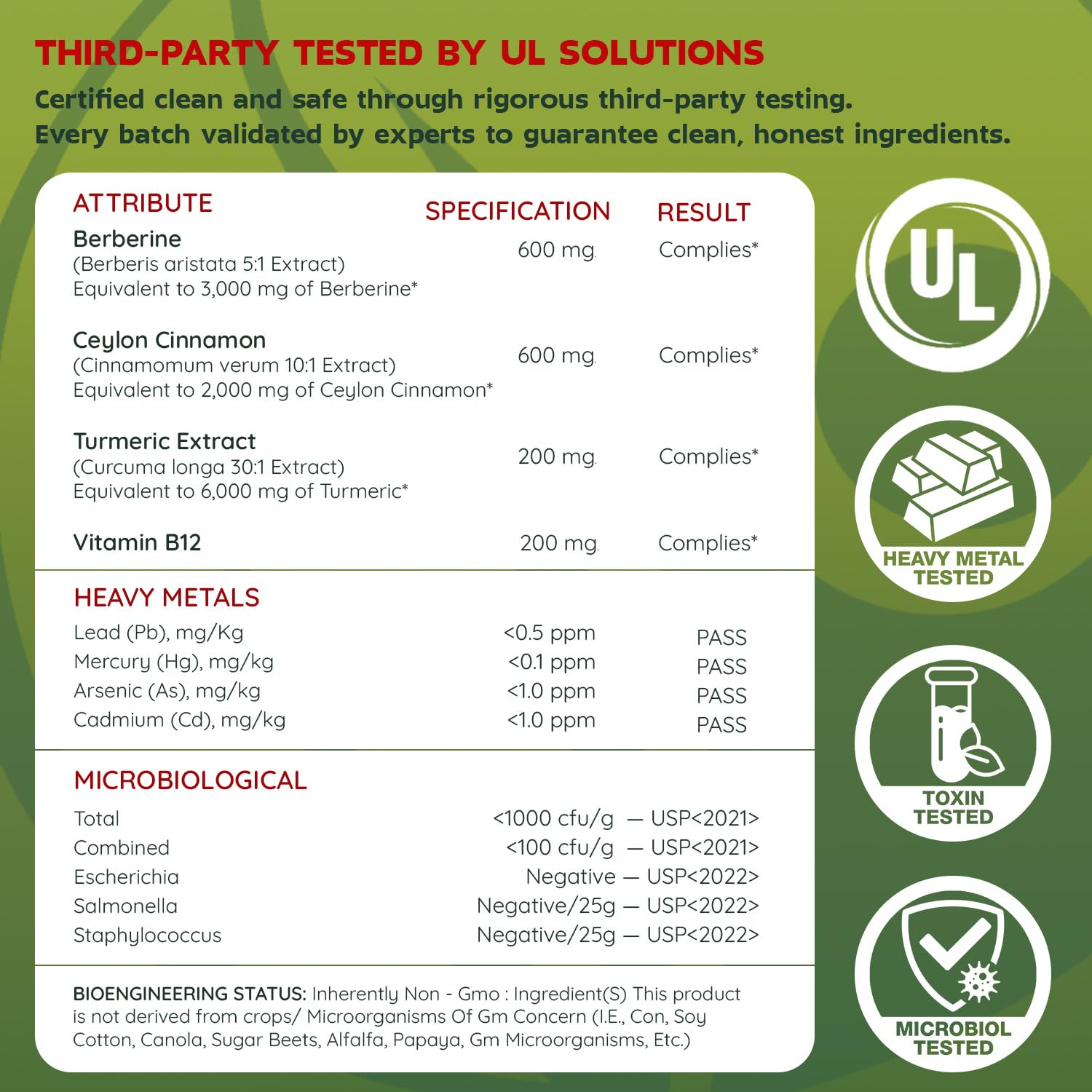 Vitale Style Cinnamon Supplement side view with capsule details