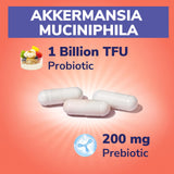Vitalibre Akkermansia Probiotic Supplement 50g side view
