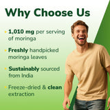 Vitalibre Moringa Ultra Strength Supplement serving size