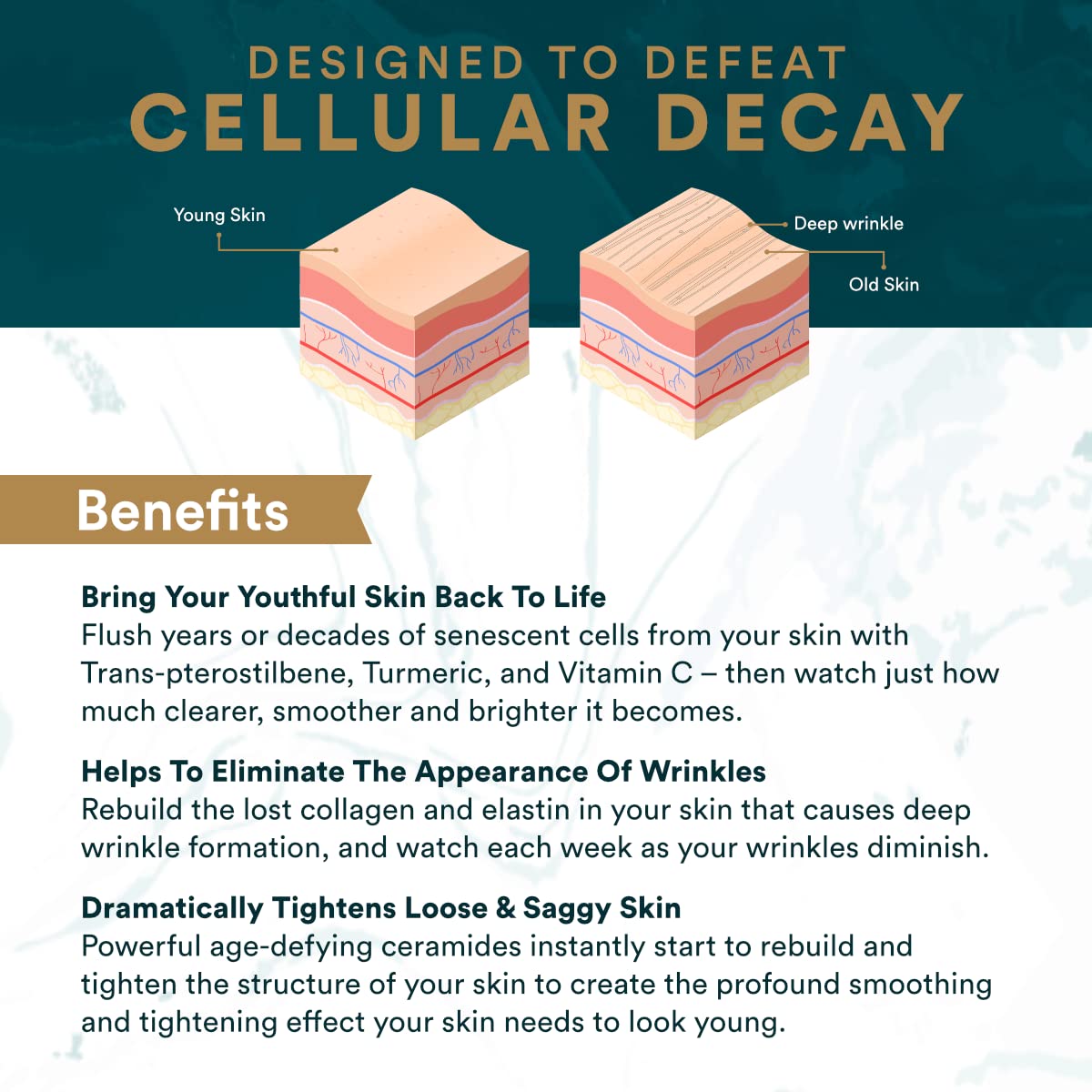 Vitalifi ReActivate Collagen Supplement displayed with skincare products