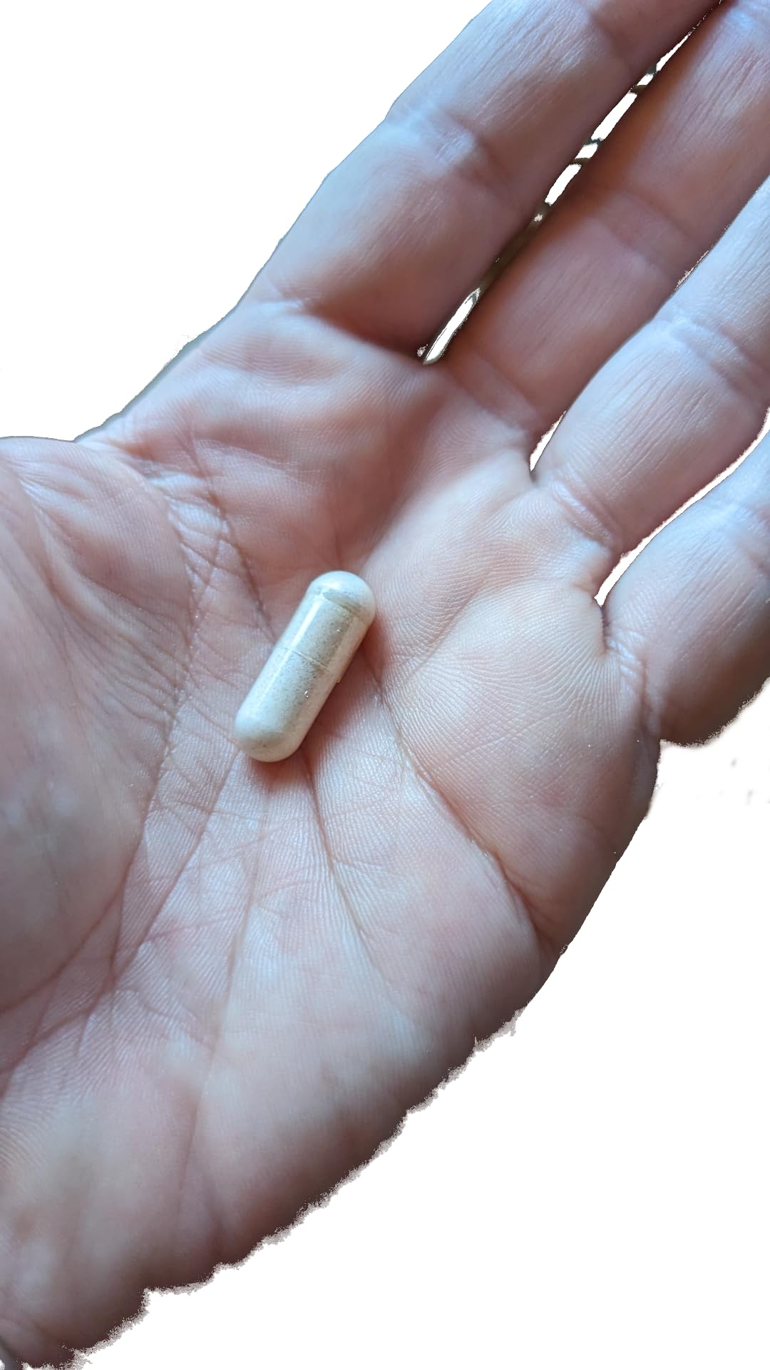 Vitalité Now! D-Mannose & Cranberry Extract capsules in a natural setting