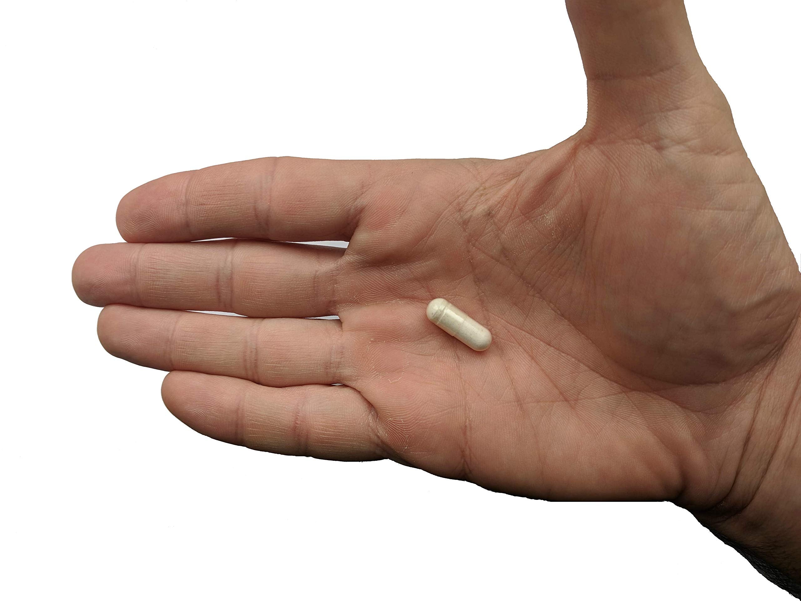 Vitalité Now! Probiotic on a wooden table