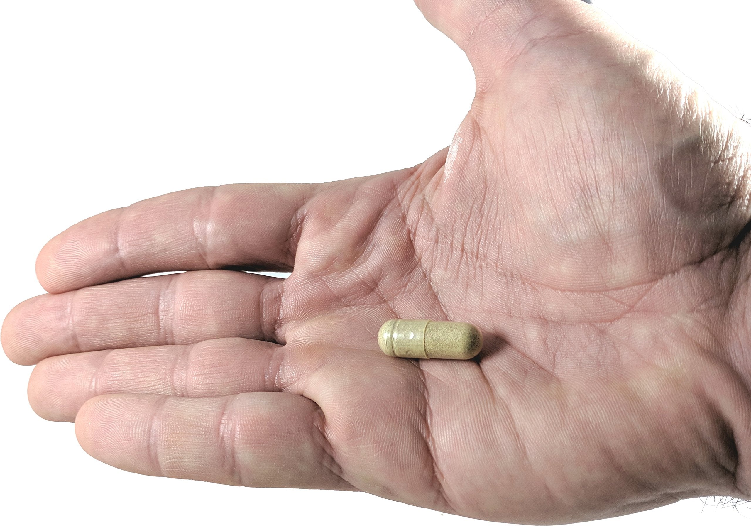 Vitalité Now! Super daily wellness Support capsules in a clear glass