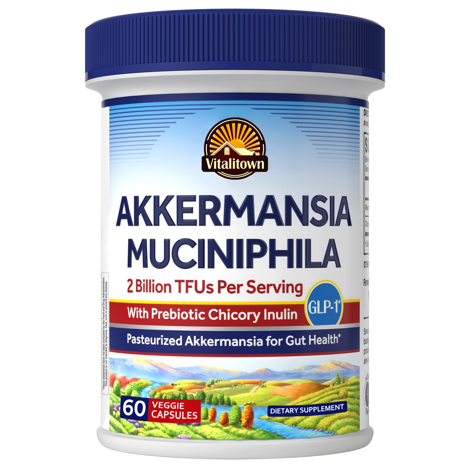 Vitalitown Akkermansia Muciniphila Probiotic 60g front view