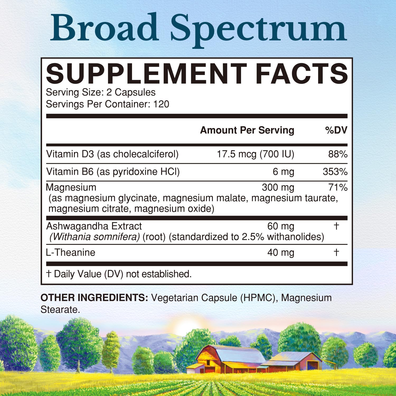 Vitalitown Magnesium Advanced supplement capsules