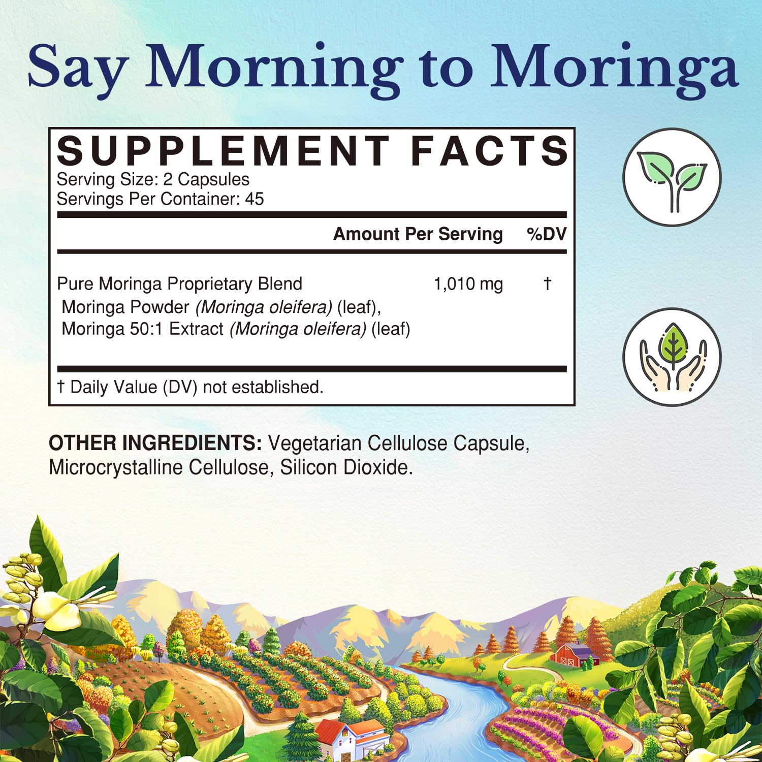 Vitalitown Moringa Leaf Powder 50X Concentration capsule close-up