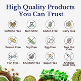Vitalitown Moringa Leaf Powder 50X Concentration in a kitchen setting