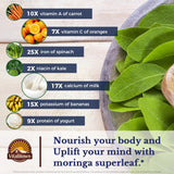 Vitalitown Moringa Leaf Powder 50X Concentration on a wooden table