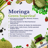 Vitalitown Moringa Leaf Powder 50X Concentration powder texture