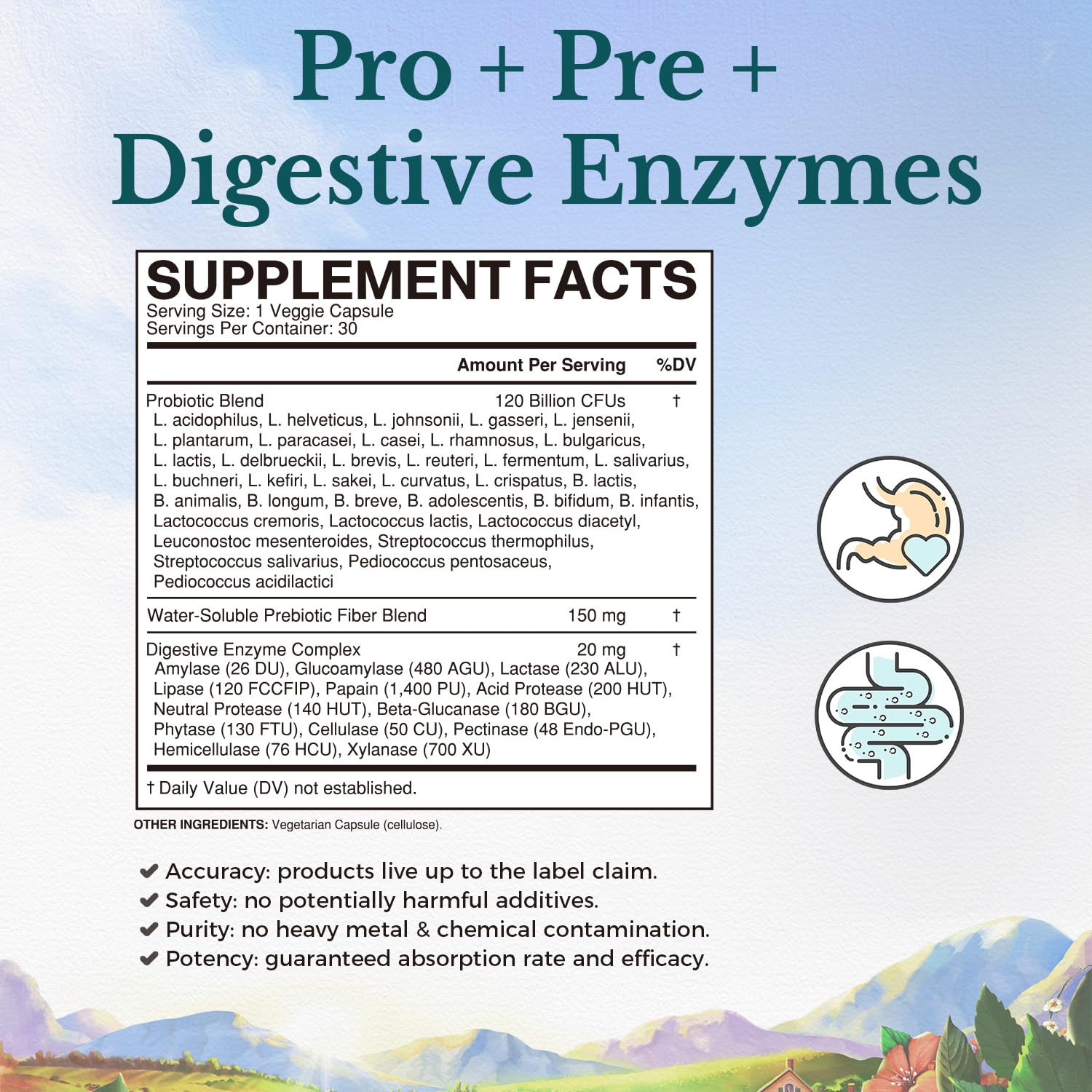 Vitalitown Probiotics 120 Billion CFUs capsule side view