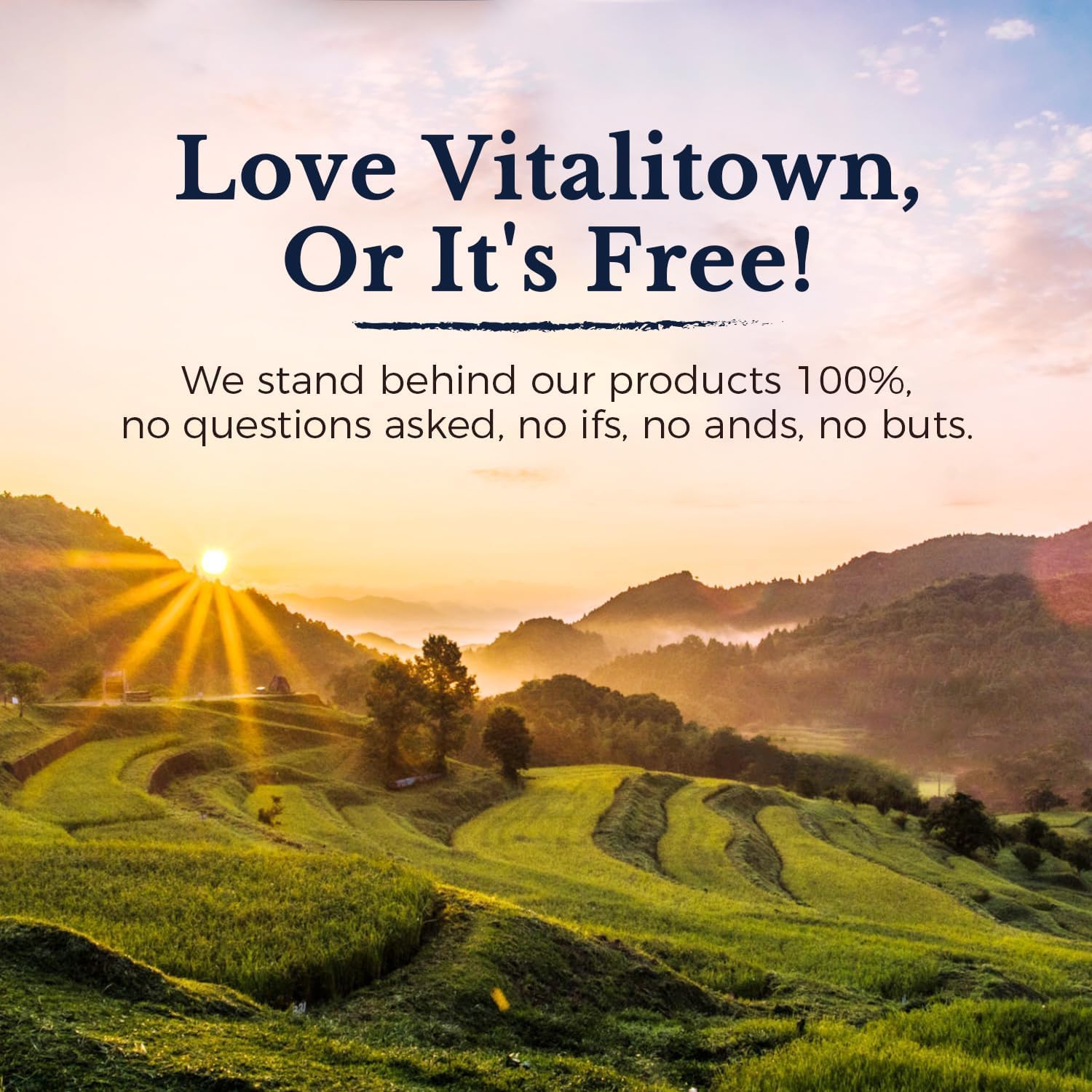 Vitalitown Turmeric Root Extract capsules in a clear jar
