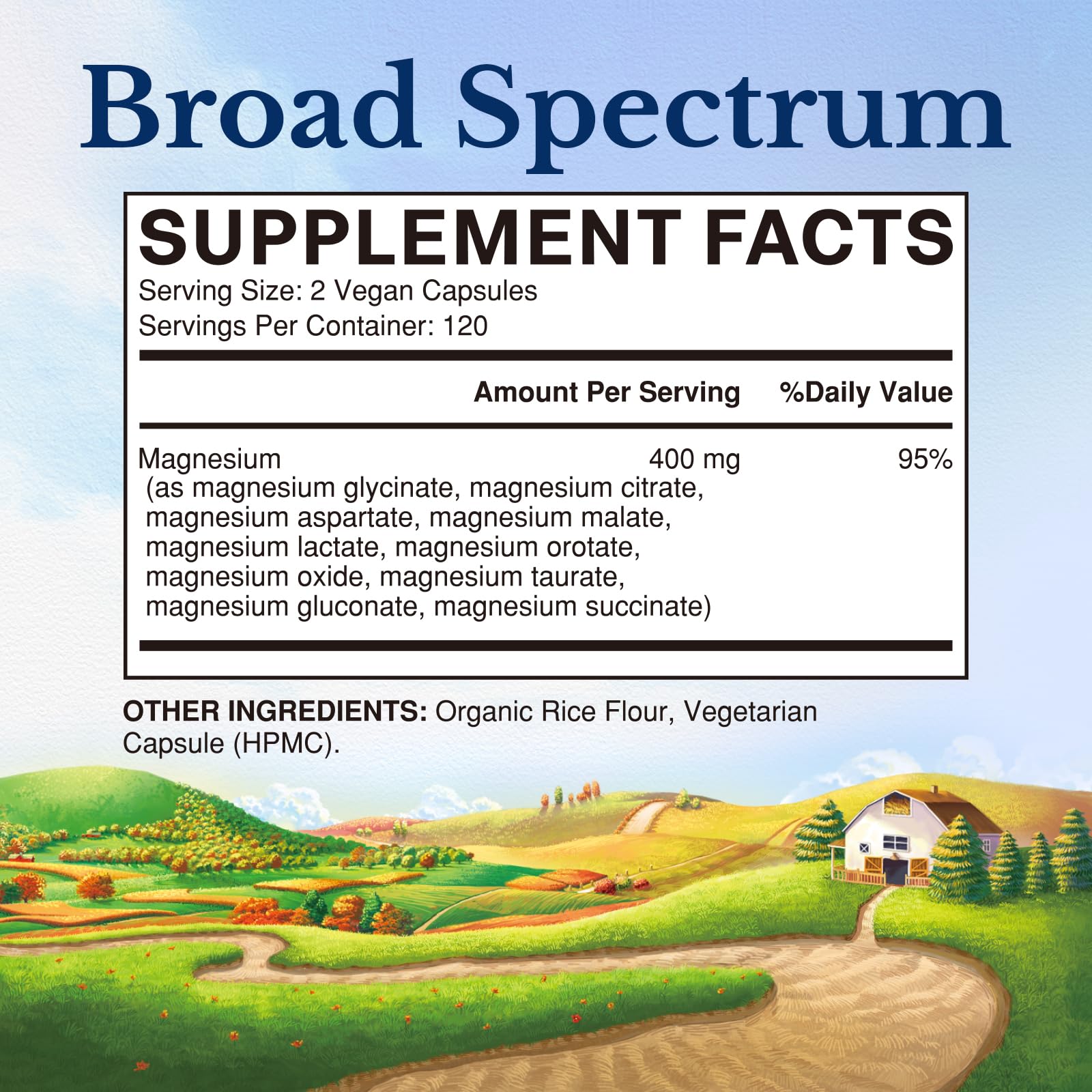 Vitalitown Ultra Strength Magnesium Complex 400mg back view with ingredients