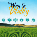 Vitalitown Vitamin B Complex with a glass of water