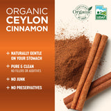 Vitalize Life Ceylon Cinnamon capsules in hand