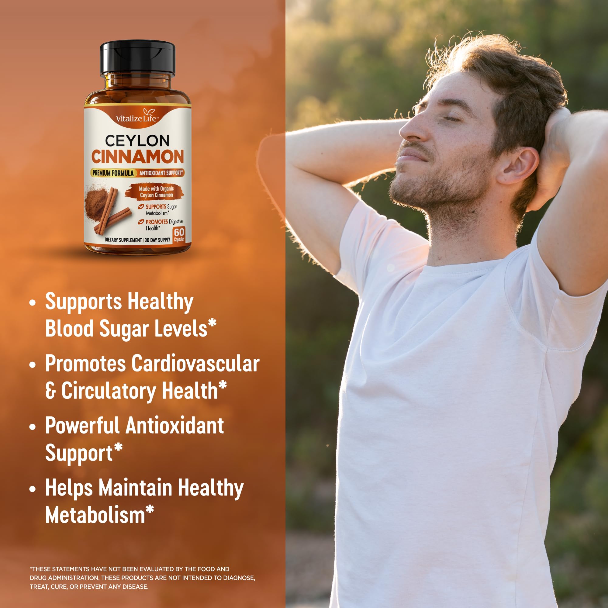 Vitalize Life Cinnamon supplement facts label