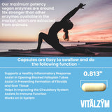 VITÄLZYM Multi-Enzyme Supplement compact size comparison