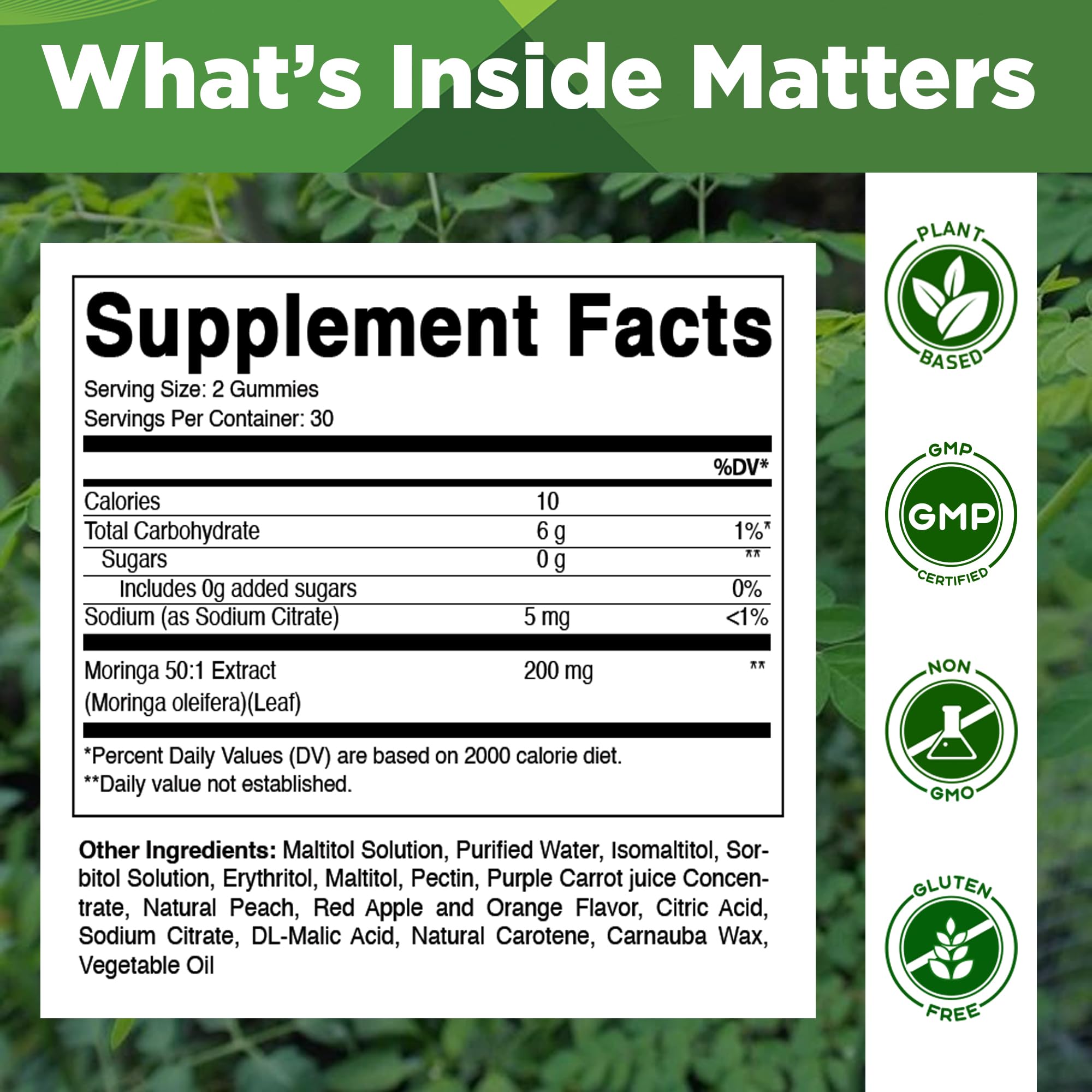 Vitamatic Moringa Superfood Supplement side view with ingredient list