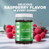 Vitamatic Sea Moss Gummies in a bowl with a few gummies scattered around