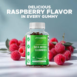 Vitamatic Sea Moss Gummies packaging side view