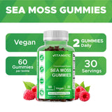 Vitamatic Sea Moss Gummies side view showing gummy texture